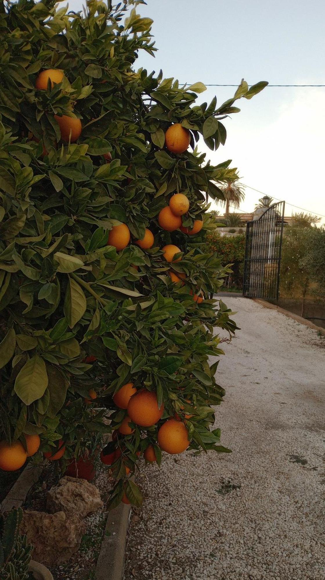 הוילה אלמריה Cortijo Paulenca מראה חיצוני תמונה